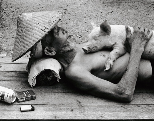 rollership:
“Over the course of ten years, Kagawa-based photographer Toshiteru Yamaji captured the special bond between Japanese pig farmer Otchan and his 1,200 pigs. As you can tell by these photos, he cared for each individual pig in a loving and...