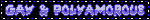 GAY & POLYAMOROUS