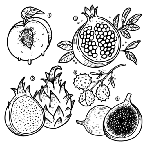 Tattoo Tuesday - ✨ fruits ✨ Peach, pomegranate, dragon fruit, lychee, and figAs usual $25 USD fo e