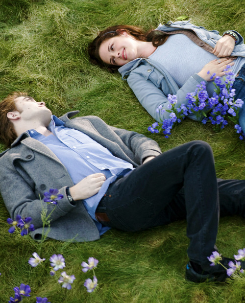 cullensecret: Bella, I couldn’t live with myself if I ever hurt you. You don’t know how 