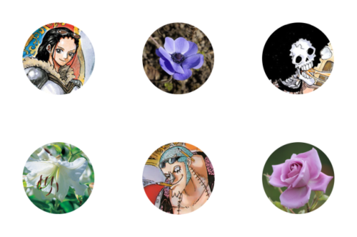 foxinpolkadots: Cosmos: Luffy deepest feelings of love ‘walk with me hand in hand’ &lsqu