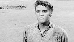 vinceveretts:  HAPPY 78TH BIRTHDAY, ELVIS! (January 8, 1935 - August 16, 1977)