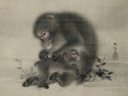 kafkasapartment: Monkeys grooming, c.1821. Mori