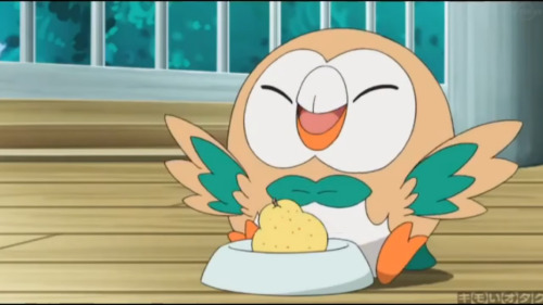 Ash's Rowlet - Bulbapedia, the community-driven Pokémon encyclopedia