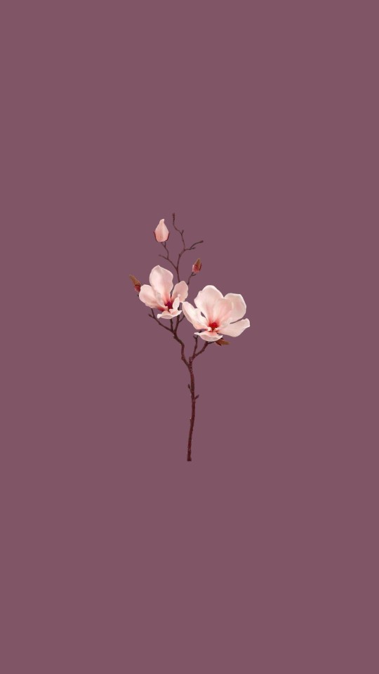 like or reblog successfulicons on Tumblr