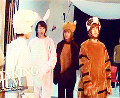 -everdeen:  TVX Cute: Barn Animals Perform “O”-正.反.合.  meanwhile: 