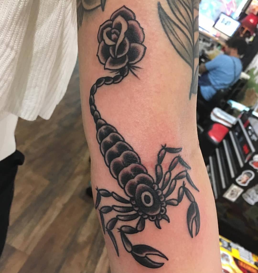 American Traditional scorpion  The Golden Egg Tattoo Co  Facebook