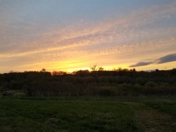 Mowing at dusk,,, I love it!