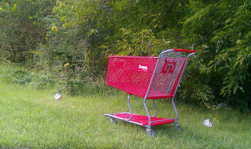 qenitals:  shopping carts in random places make me sad  there is nothing for you there friend   I just moved house and there’s a shopping cart in my new back yard