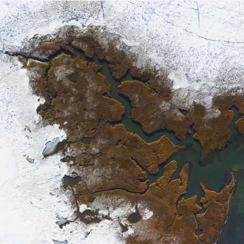 chronic-life:Snowy marsh from above made for some beautiful combinations