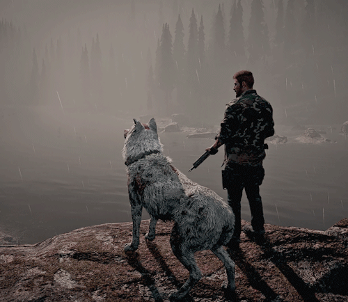 Petrichor