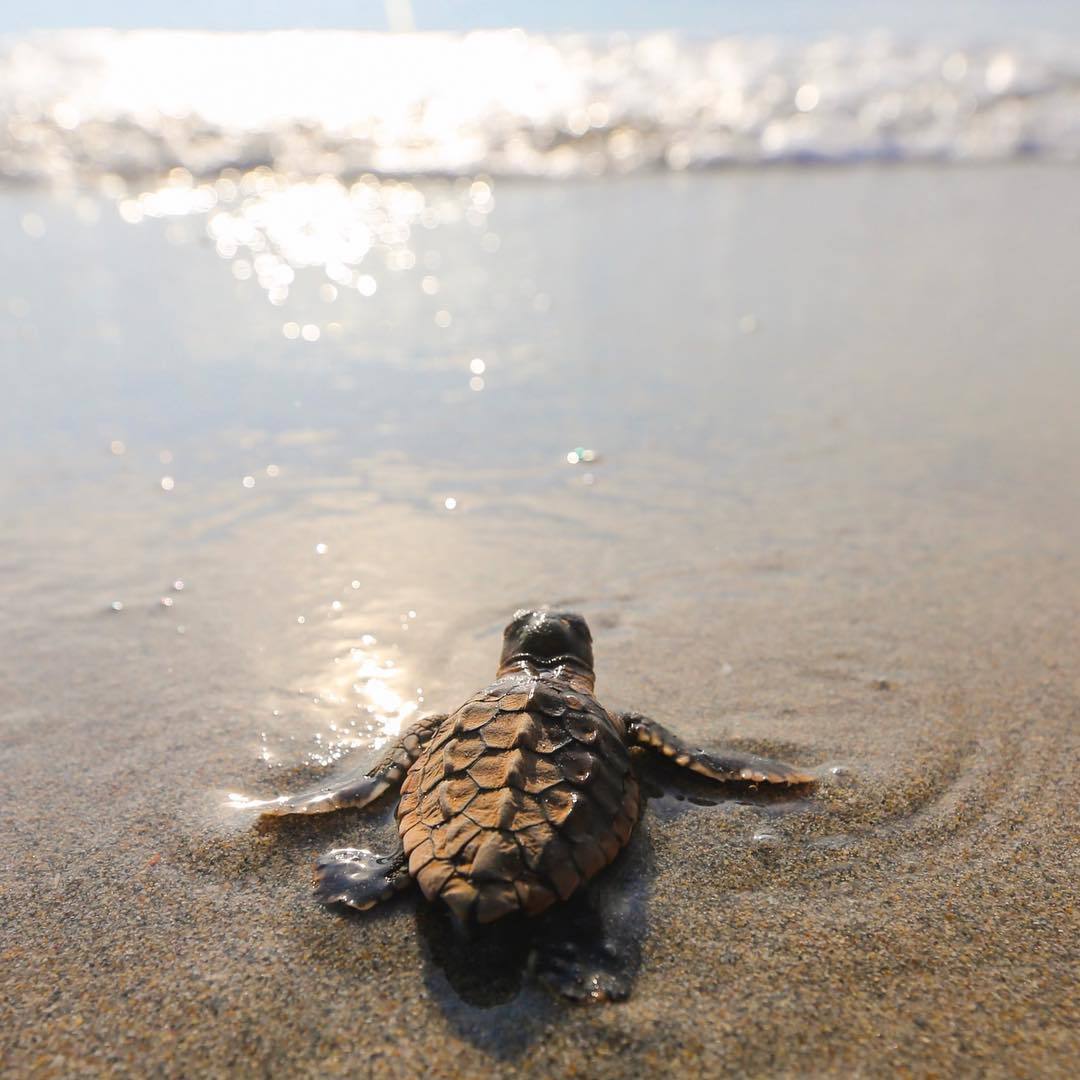 atraversso: Summer Is Coming - By:  Ben Hicks Photographer