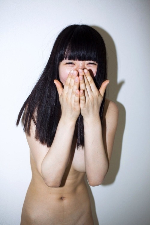 kinakoiro:  noraneko 