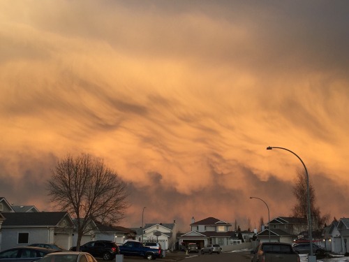 Porn contint:  watch as this “sandstorm” transforms photos