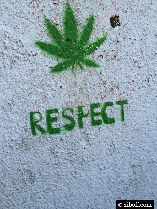 thathighup:  Respect !