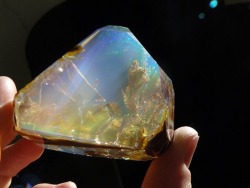 pvnkbaby:the ethiopian welo opal: ocean in a rock