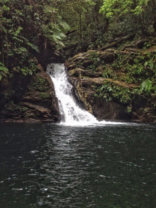 theeyeoftroy: Rio Seco waterfall, Salybia, Trinidad. Copyright 2016 Troy De Chi. All rights reserved