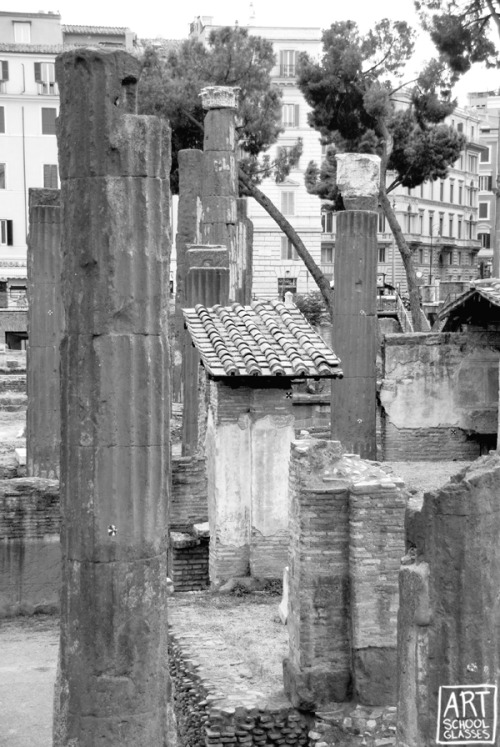 Largo di Torre ArgentinaRome, Italy