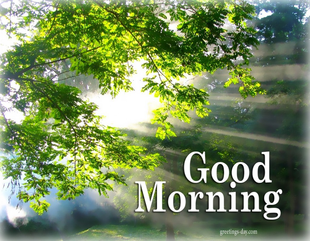 A Good Morning, Good Day Ecard. Free Good Morning eCards, Greeting