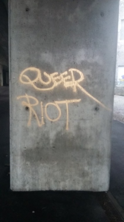 queergraffiti:“these queers kill Nazis”“queer riot”found under a bridge in Ljubljana, Slovenia