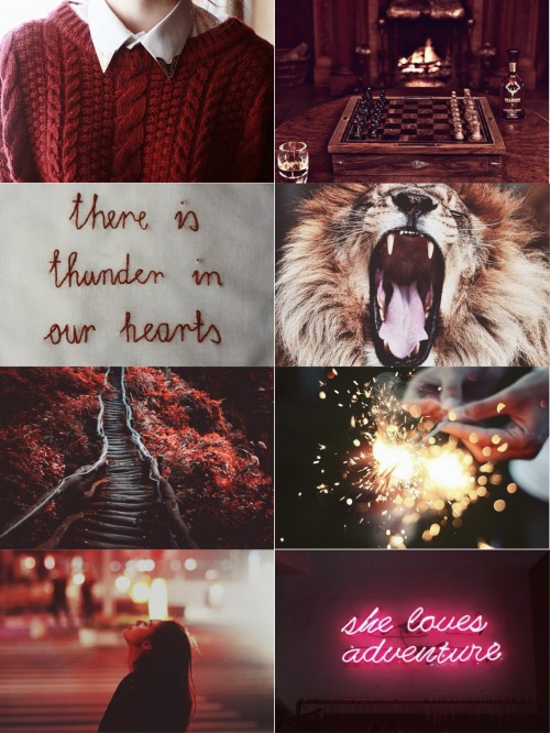 magicofthestars:  Gryffindor ~ Courageous, daring, brave, valiant, chivalrous, confident ~