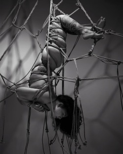 Art of Shibari