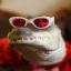 unhealthyobsessionwithgators