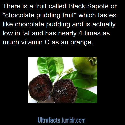 ultrafacts:  [Source]    If you haven’t yet, follow Ultrafacts for facts! 