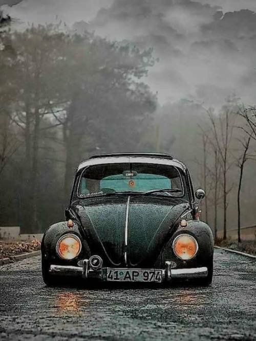 coffeeeyesfuscablog:#RainyFusca 🍁☔
