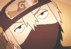 The Naruto Fandom.