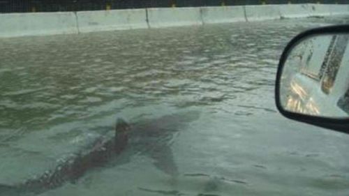 uberraymondnc:  I have had enough of this rain! #hurricanjuaquin hurricane #flooding #flood