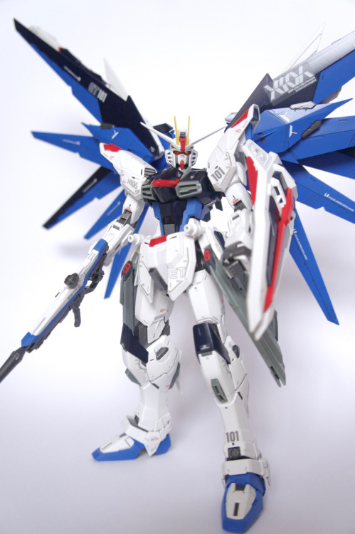 Master Grade Freedom Gundam 2.0 assembled, painted and photography by Scandalousgaijin