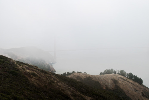 San Francisco, CA.Photographed by Codi Ann Thomsen.