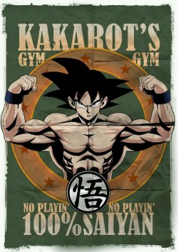 artimus778:  Dragonball Z gym!