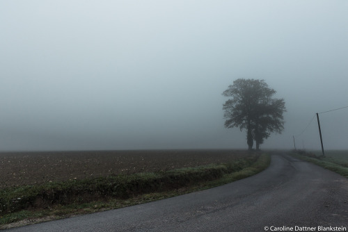 carolinedattnerblankstein:Living shadows in the fog of Normandy…  /  Ombres vivantes des brouillards