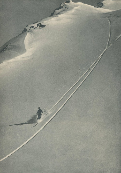 dame-de-pique:  Le Ski by Cesare Giulio,