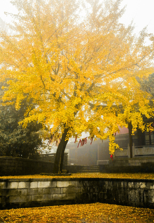 Gu Guanyin Chansi (Old Guanyin Zen Temple), Xi’an City.