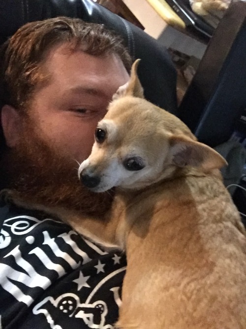 morganray311: chasingtrophywhitetails:   thatssogayman:   reddirtgirl95:   si3rra-xox:   carolina-viking:   russdom:   oldwarhorse1775:   moosemarine:   downhomebrunette:  red-faced-wolf:   Reblog this with a picture of your dog       Bonus with my uncles