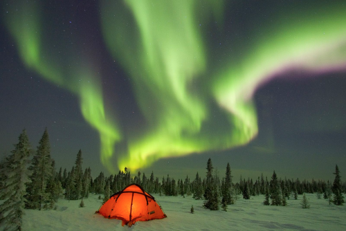 nubbsgalore:  camping under the aurora australis (first pic) and borealis, photographed by (click pic) greg harvey, ol chul kwan, patrick cullis, kevin schafer, matthias breiter and linda drake (more posts of the aurora) 