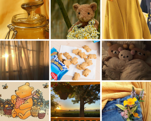 buttercupagere:“Teddy Grahams” age regressor moodboard!Honeycore. Naps in the middle of the day. Lik