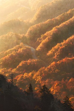 sublim-ature:Great Smokey Mountains, TennesseeJesse