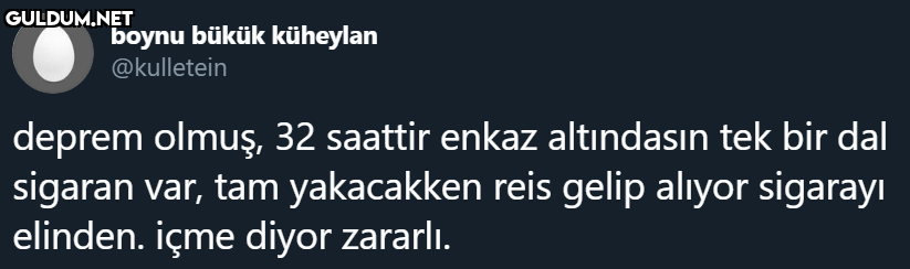 boynu bükük küheylan...