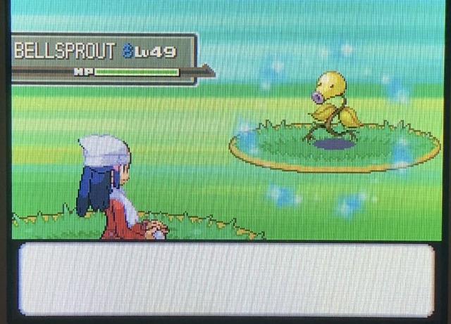 Shiny Bellsprout Tumblr Posts Tumbral Com Shiny Bellsprout Tumblr Posts Tumbral Com