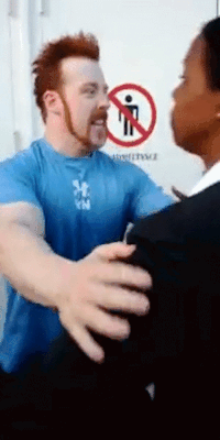 kristyfarrelly:  sheamus being robbed of their fans