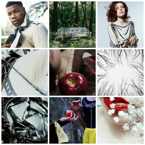 finnweappreciate:Finnrey “Snow White” moodboard requested by anonymous