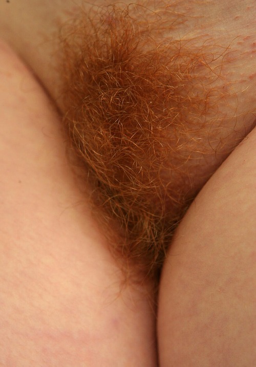 sweethairymuffs:  Hot Hairy Muffs