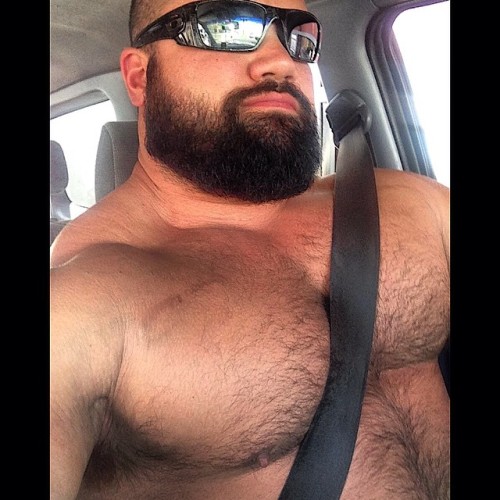 ajrosado1979:  grade-a-beef:  furonmuscle:  James Lechelt, apparently!       (via TumbleOn)  Hot bear
