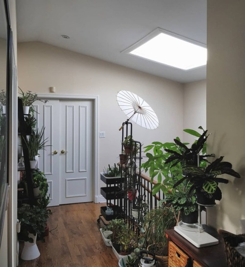 Lots of light? Yes, an unobstructed view of the sky floods this hallway with light. Lots of sun? Not