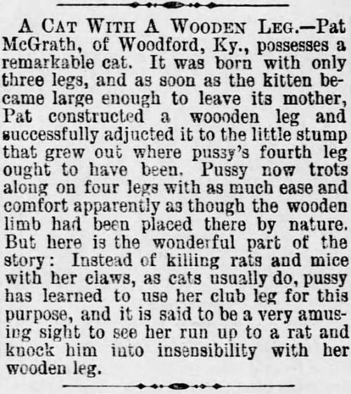jumpingjacktrash: yesterdaysprint: The Allentown Leader, Pennsylvania, July 16, 1890 i need a movie