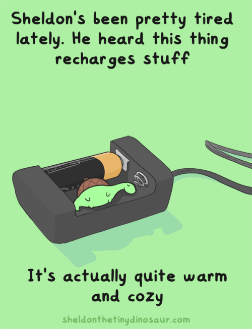 sheldontinydino:  He might be very hyper later